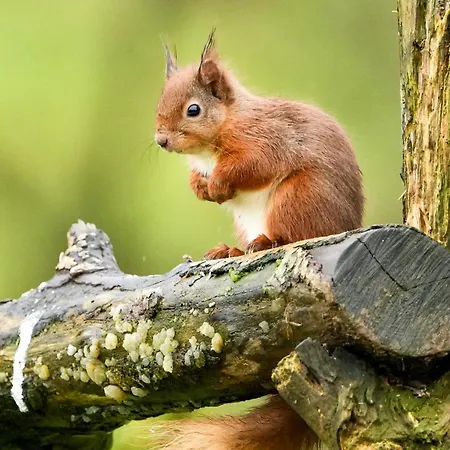 Bragan Mountain View Bed & Breakfast *